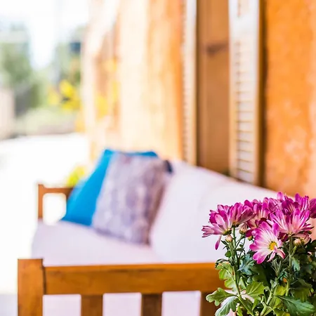 8 Guests In Holiday home